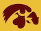 :hawkeyes: