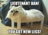 lieutenant-dan-you-got-new-legs.jpg