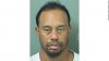 tiger.jpg