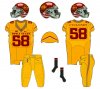 Cy Uniforms 2017  h13a - r y y Chrome hel Chev sh True gold collar.jpg