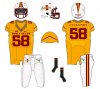Cy Uniforms 2017  h9a - w y w Chevron W sh  True gold collar.jpg