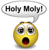 Holy Moly.PNG