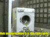 Spin Cycle.gif