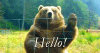 giphy-5.gif
