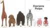 poop.jpg