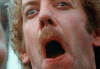 bodgiphy.gif