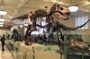 Yale-Peabody-Museum-2-600x400.jpg