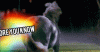 ZZNoX5S.gif