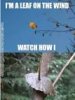 download.jpeg.jpg