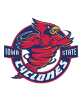 29-iowa stateupdated20112020-08.png