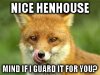 Nice-henhouse.jpg