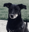 Screenshot_2019-04-16-23-48-27~2.png