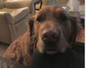 Otis face.JPG
