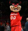 cincinnati-bearcat.jpg
