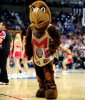 maryland-testudo-opr3-17955.jpg
