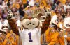 lsumascot1.jpg