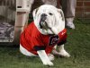 1111_cosp_auburn-georgia-43.jpg