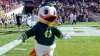 pg2_g_oregon_duck1_sw_576.jpg