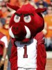 arkansasmascot2.jpg