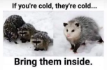 20221221_063815.png