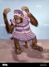1676587098005.png