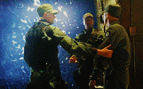 tmp.gif