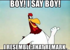 1685026269397.png