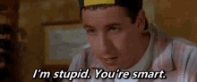 1690488319256.gif