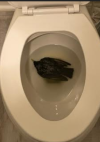 1694707100991.png