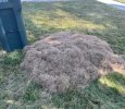 IMG_3489.jpeg