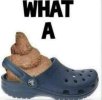 IMG_3534.jpeg