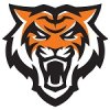 bengalhead.jpg