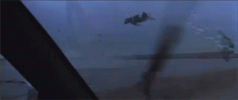 1699774195271.gif