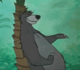 baloo-jungle-book.gif