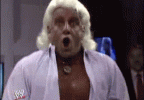IMG_2169.gif