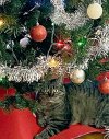 Kitten under Christmas tree 2023A.jpg
