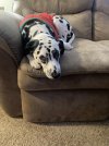 IMG_1179.jpeg