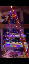 IMG_9968.PNG