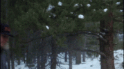 1000001794.gif