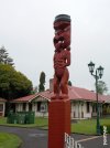 Franzealand.JPG