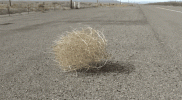 1706484382240.gif
