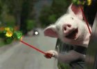 Gifs Happy1.jpg