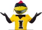 cy hawk.jpg