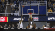 1708228461886.gif