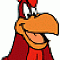 rooster