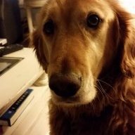 Libby