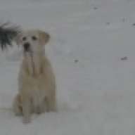 snowcraig2.0