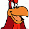 rooster