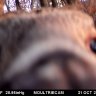huntamerica700