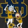 Get_Schwifty